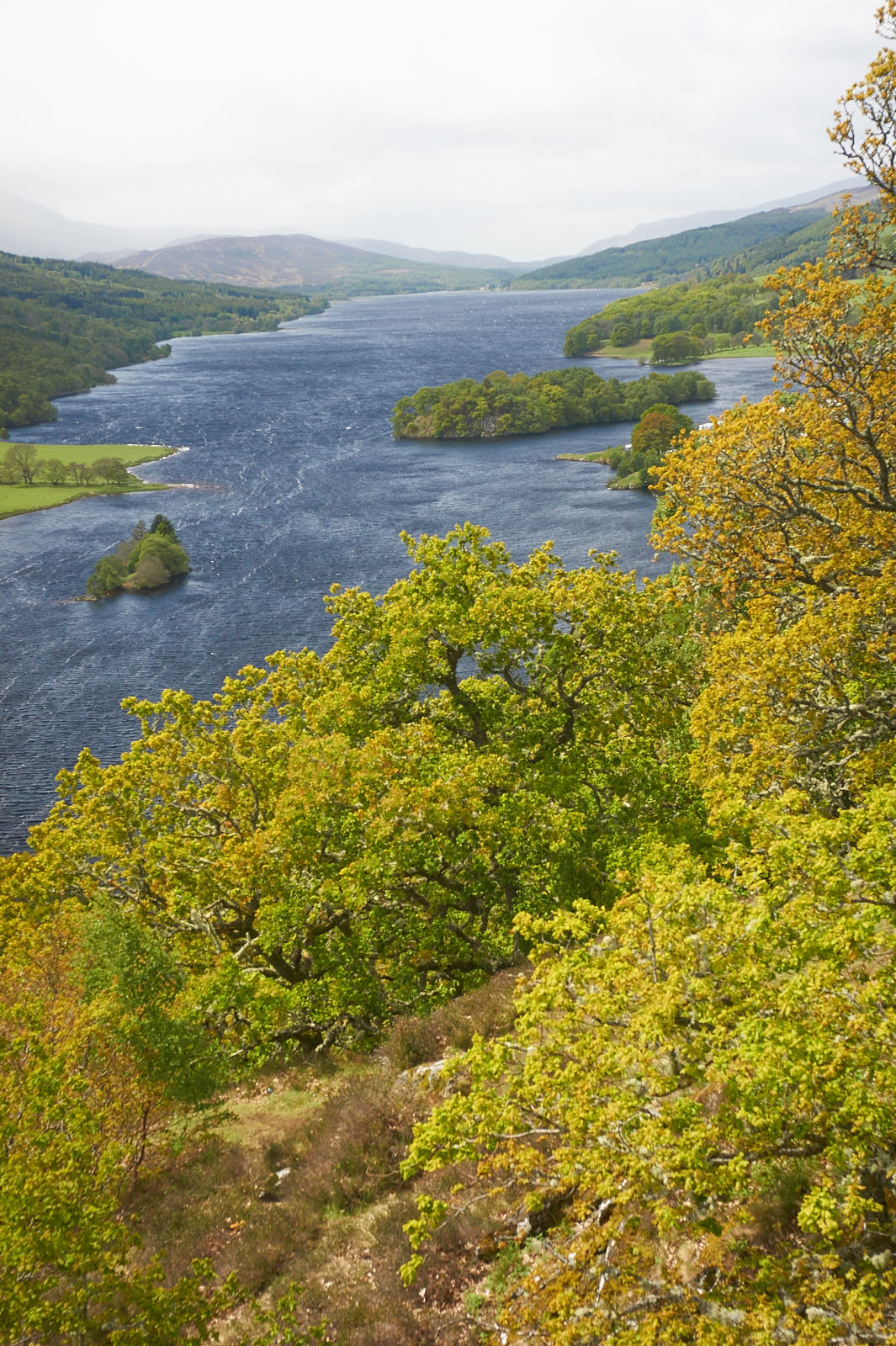 Stacks Image 1562
