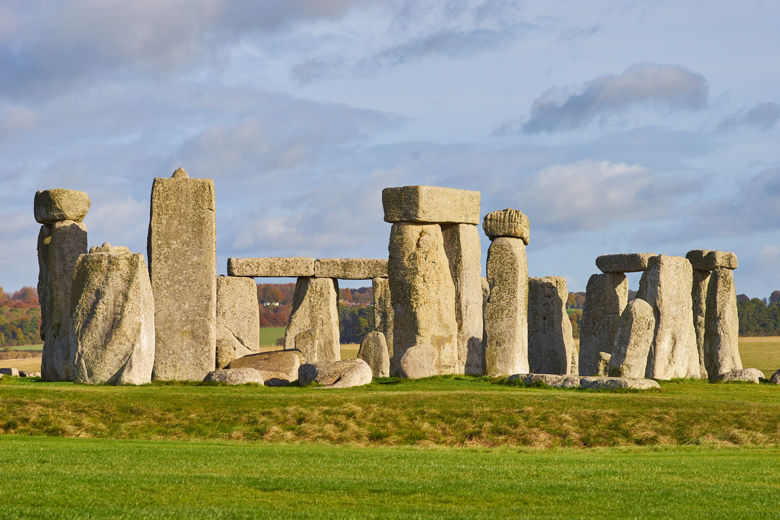 Stacks Image 1618