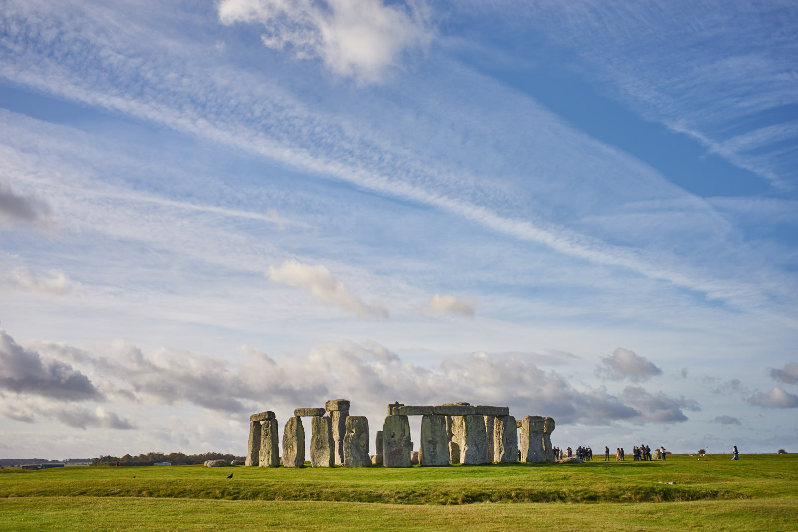 Stacks Image 1620