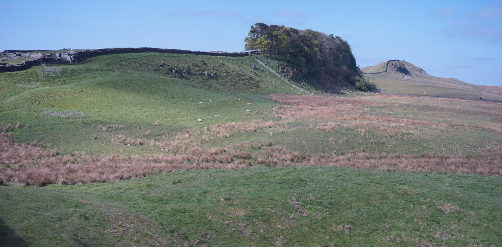 Stacks Image 1626